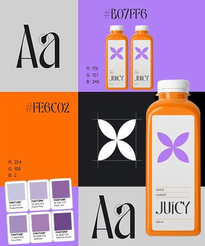 Logo Typography Sheet for brand Juicy